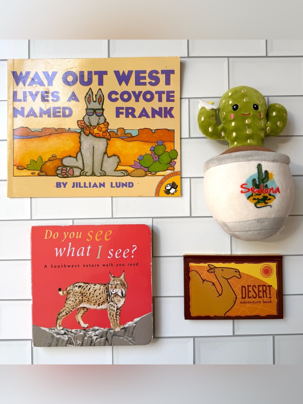 🏜️🌵 Sedona Arizona Desert Book & Stuffed Cactus Toy Bundle